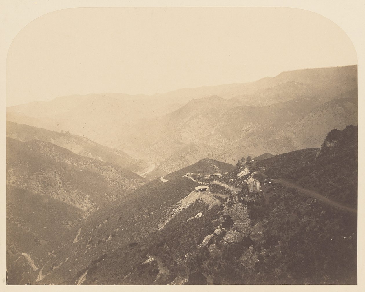 [Pine Tree Mine] av Carleton Watkins