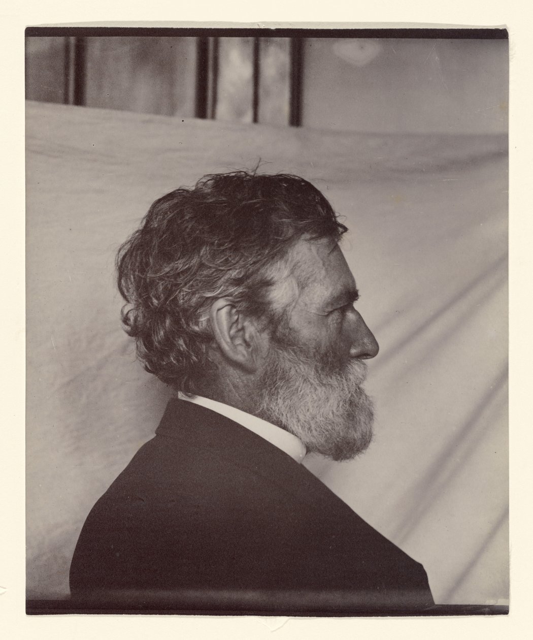 Porträtt av George Davidson av Carleton Watkins