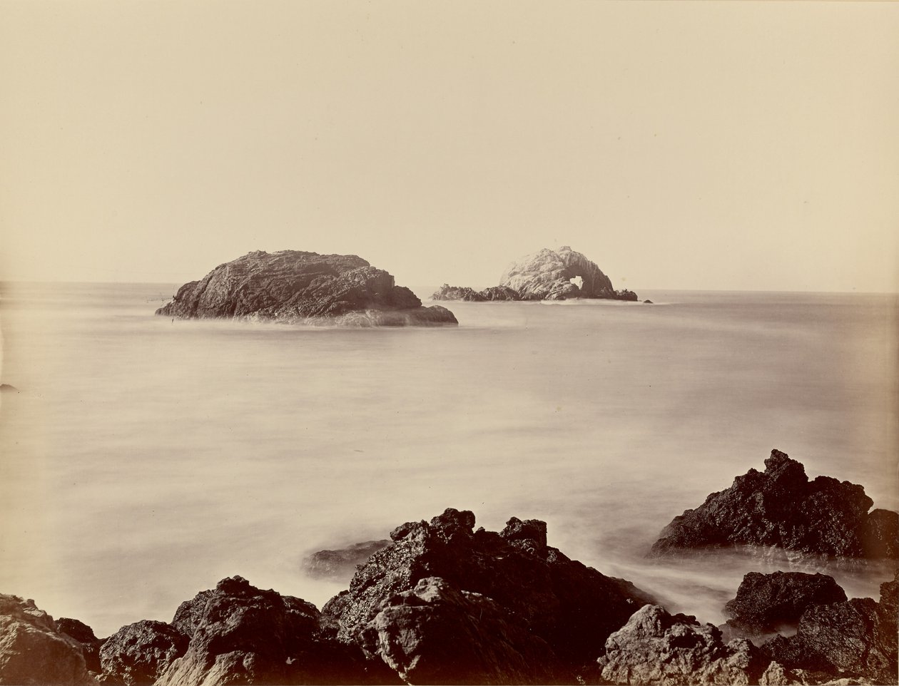 [Seal Rocks sett från udden] av Carleton Watkins
