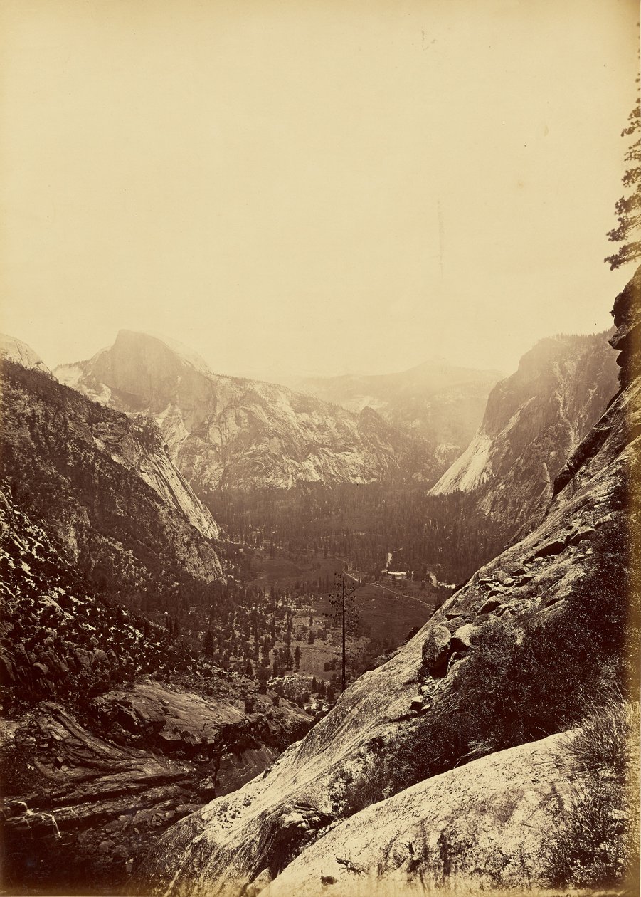[Kupolerna från foten av Upper Yosemite] av Carleton Watkins