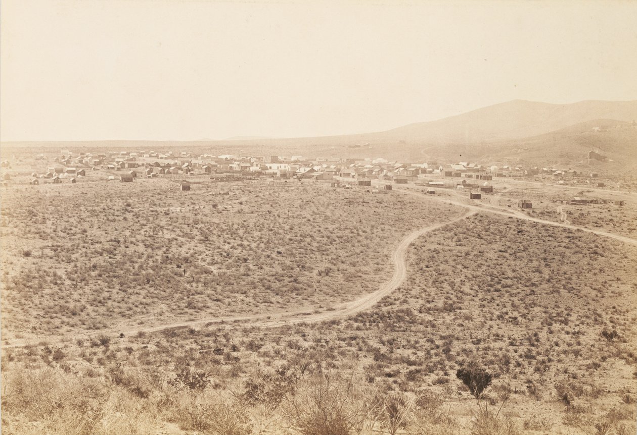 [Tombstone, Arizona] av Carleton Watkins