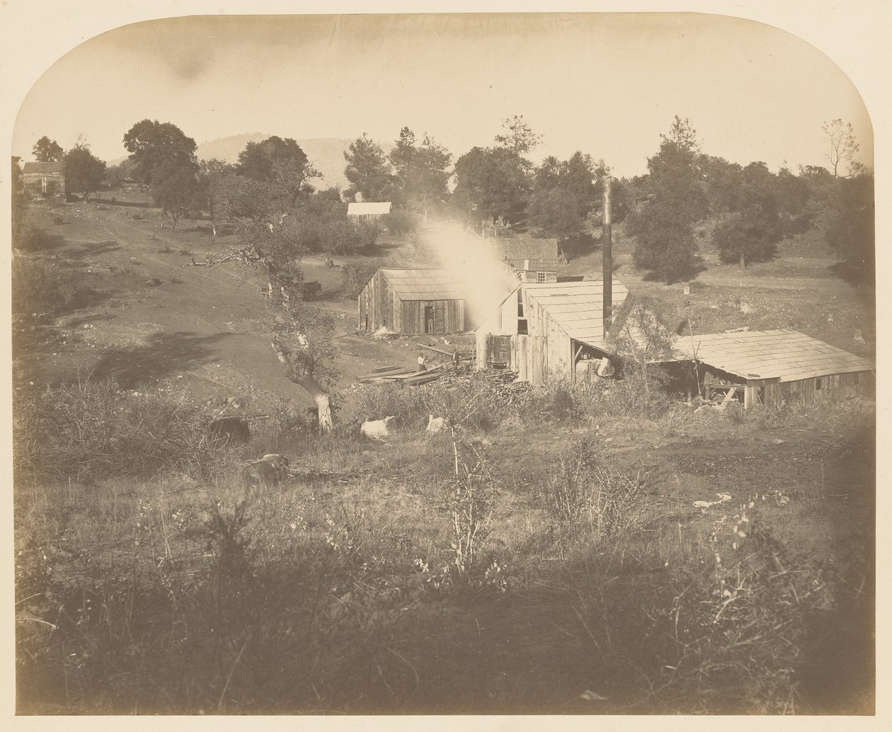 [Turners kvarn] av Carleton Watkins