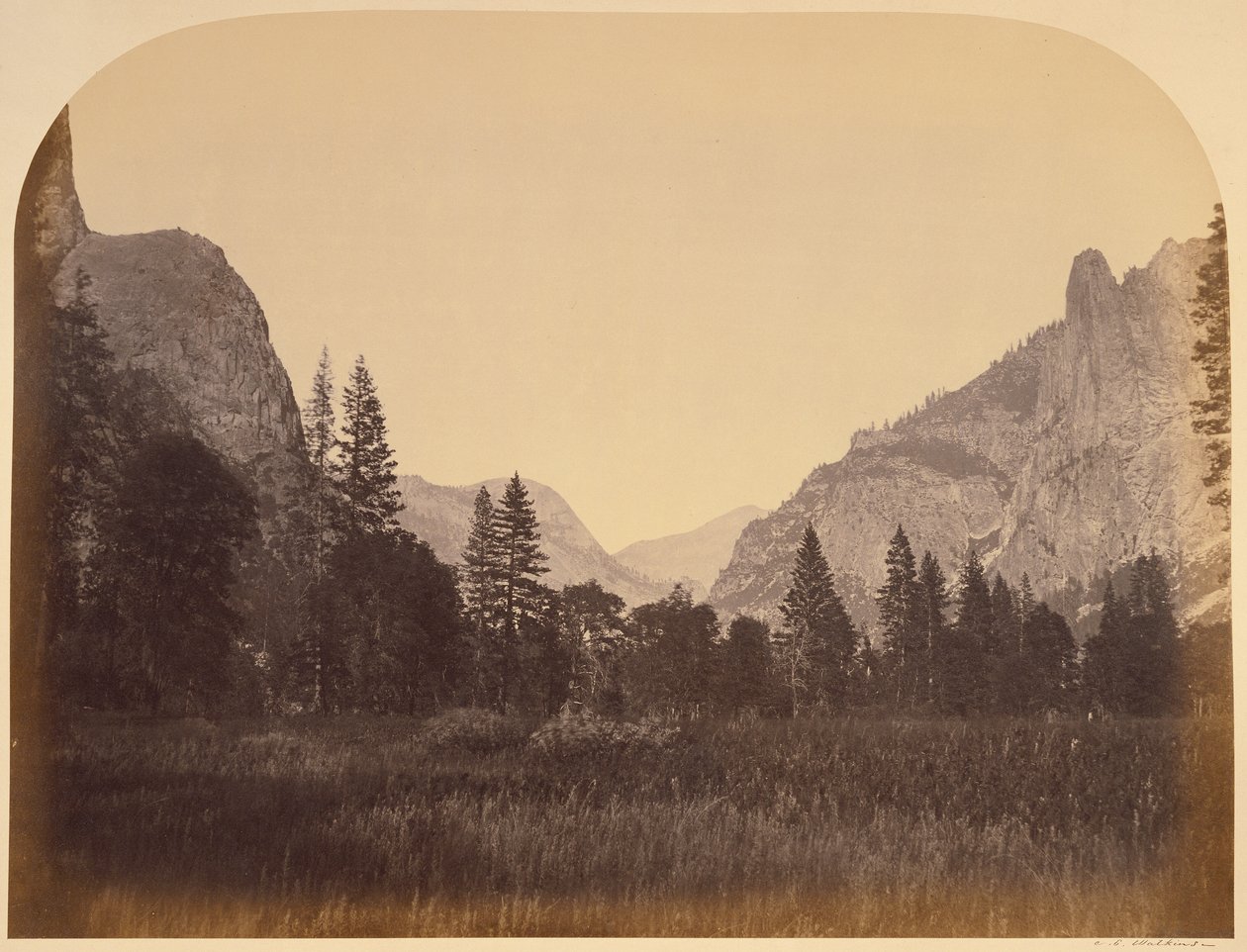 Uppför dalen - Yosemite av Carleton Watkins