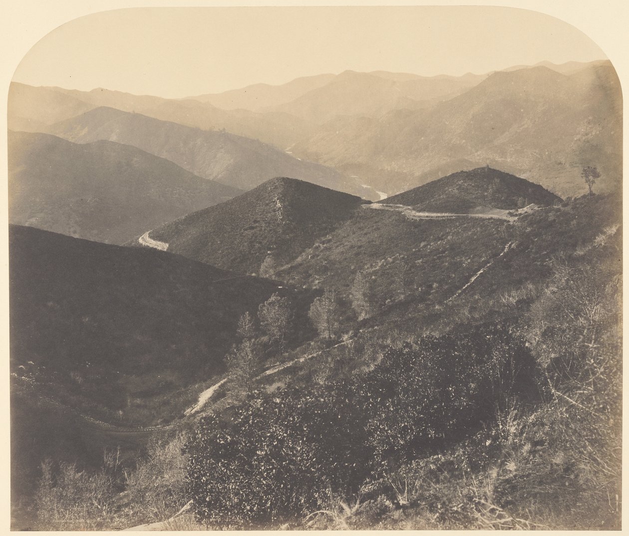 [Vy från Mt. Josephine, mot norr] / [Vy mot norr] av Carleton Watkins