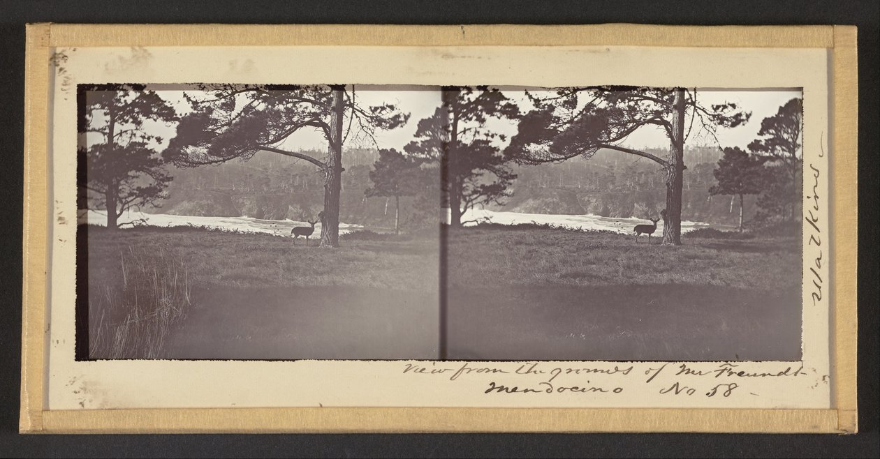 Utsikt från Mr. Freundts mark, Mendocino av Carleton Watkins