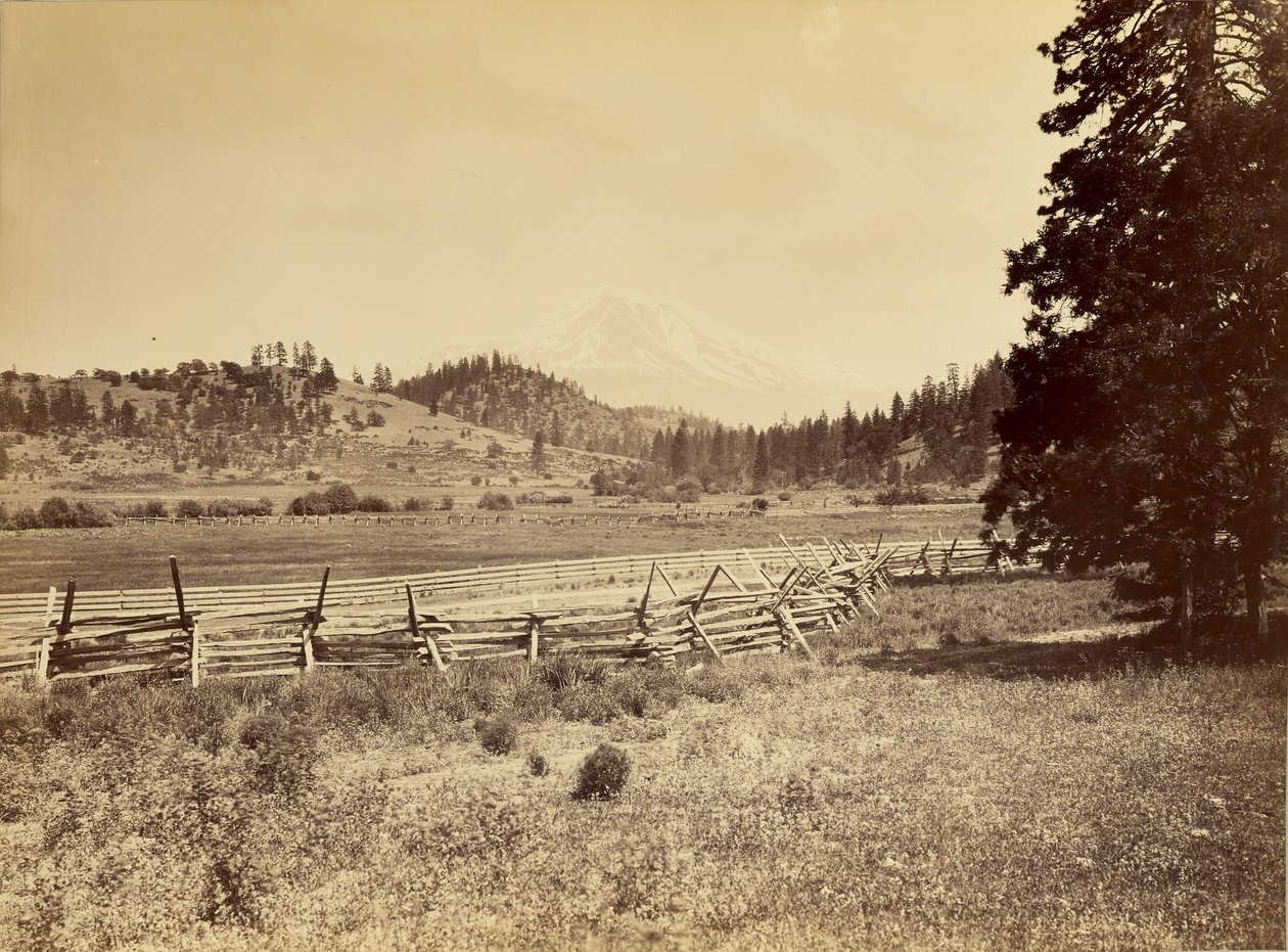 [Utsikt över Mount Shasta] av Carleton Watkins