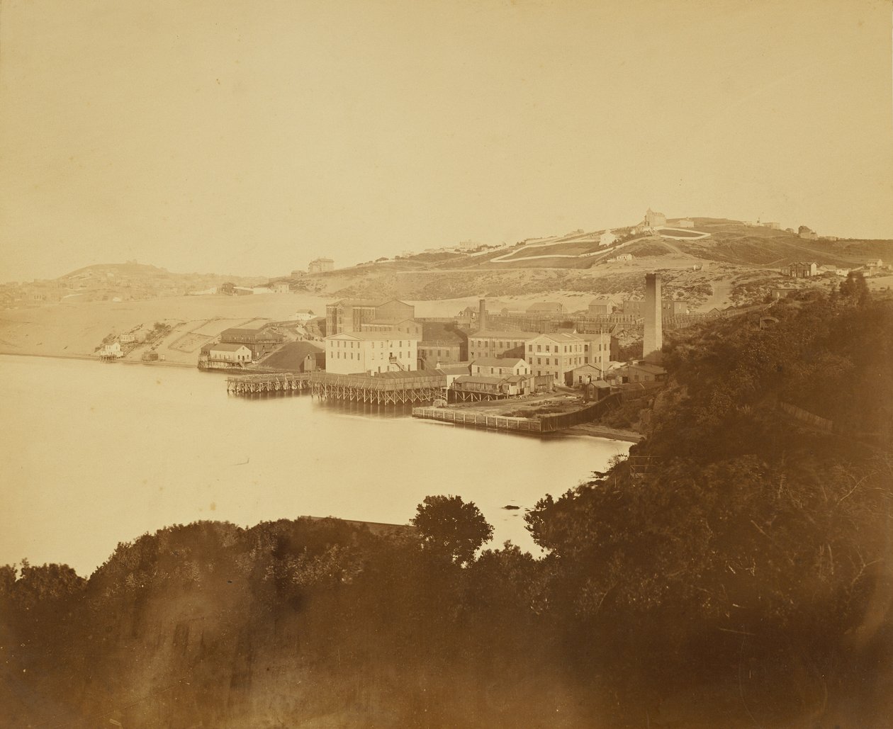 [Ullfabrik, San Francisco] av Carleton Watkins