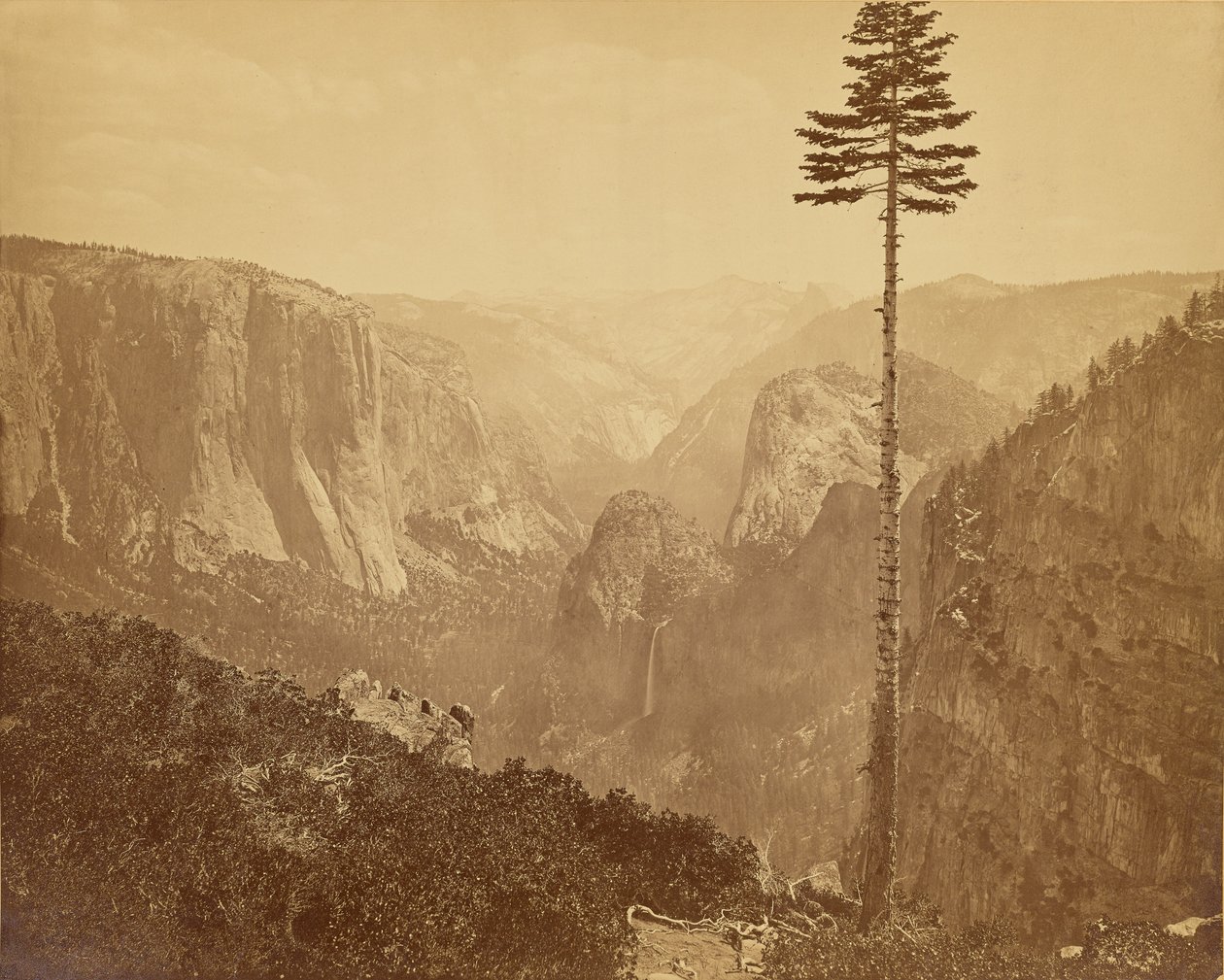[Yosemite Valley sedd från Mariposa Trail] av Carleton Watkins