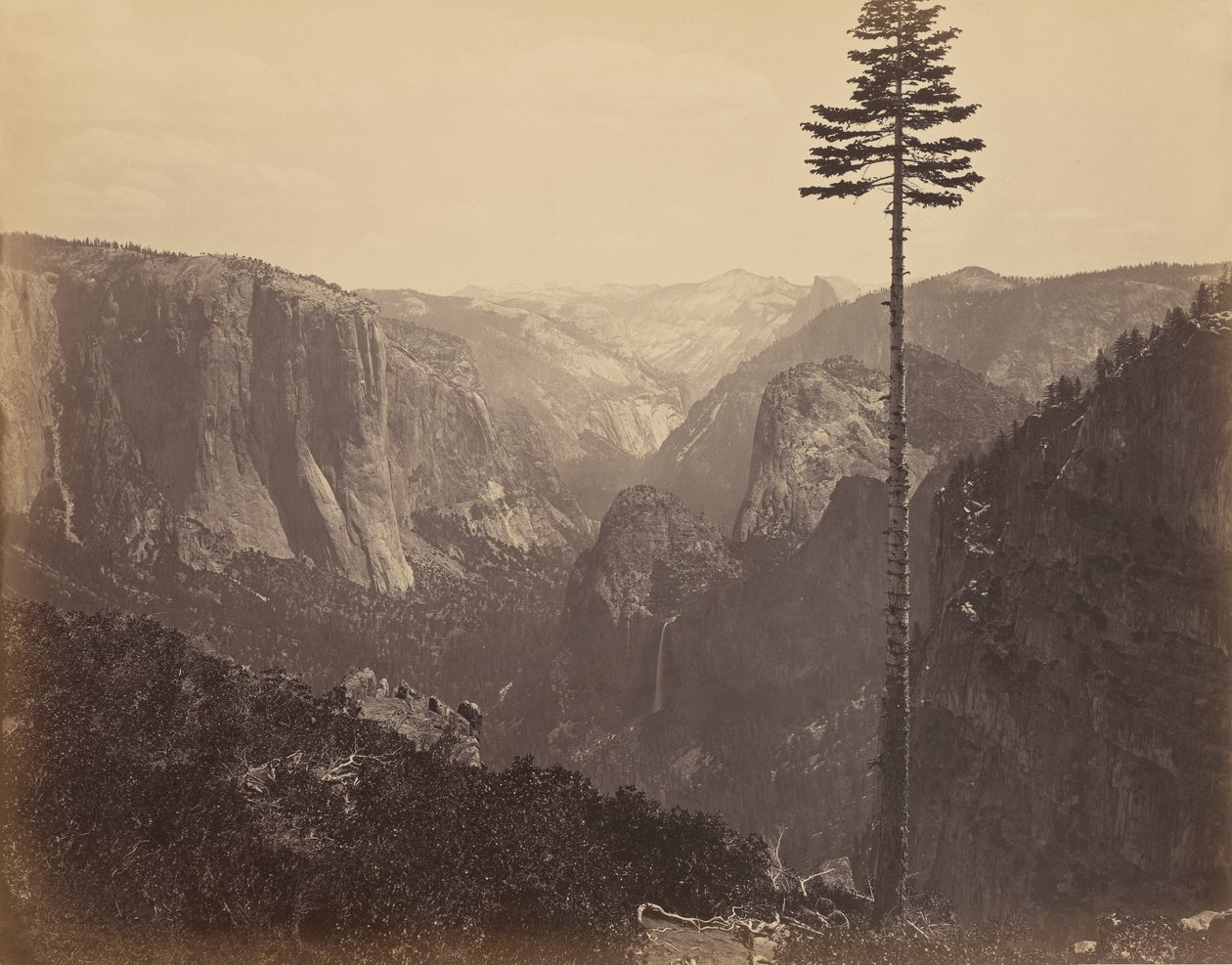 [Yosemitedalen från den bästa översiktsvyn] av Carleton Watkins