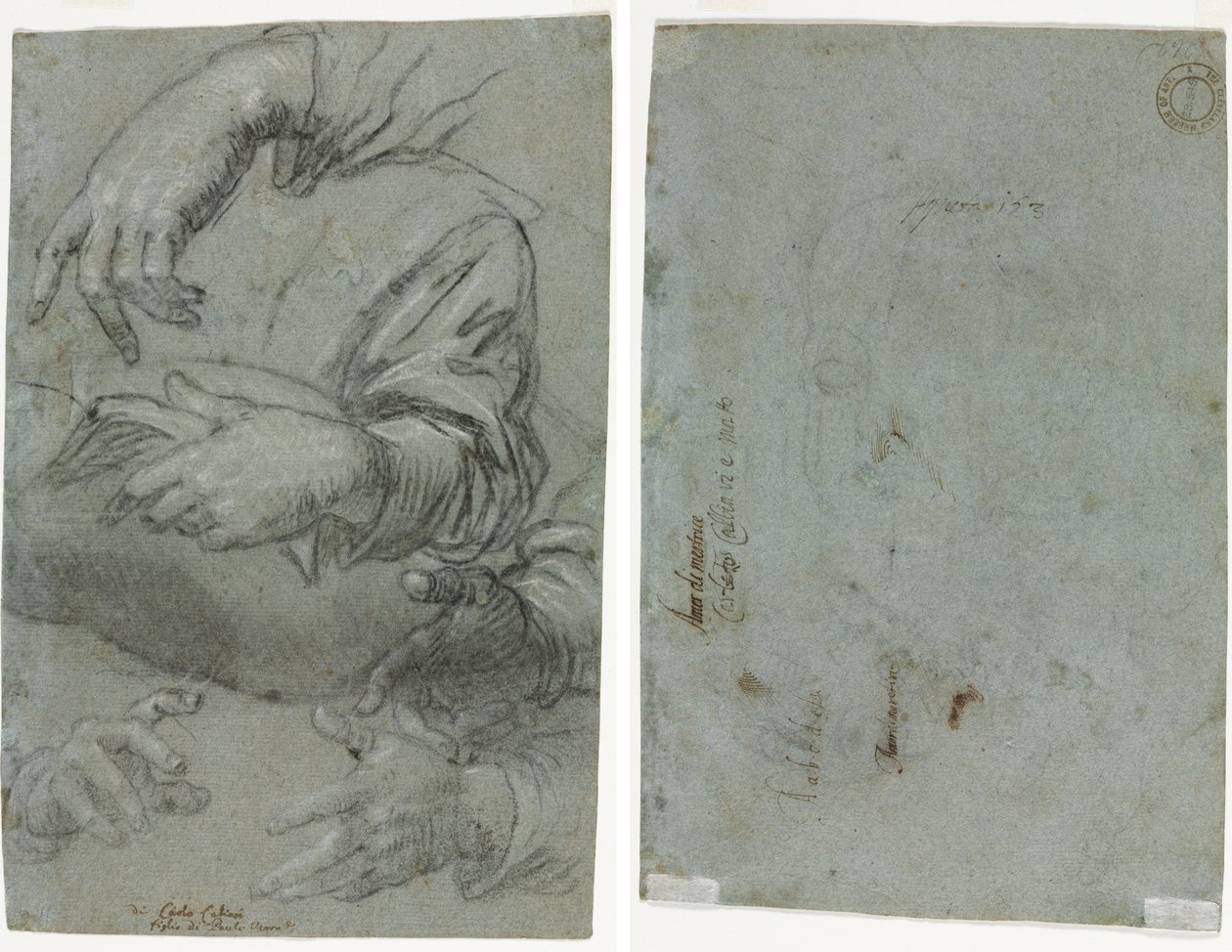 Studies of Hands (recto); Skiss av ett barns huvud (verso) av Carletto Caliari