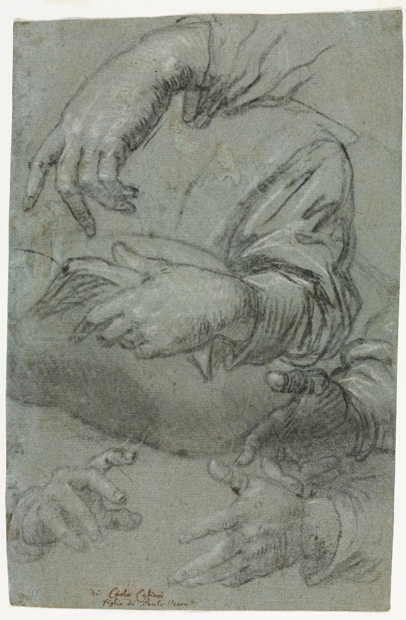Studies of Hands recto, c. 1586. av Carletto Caliari