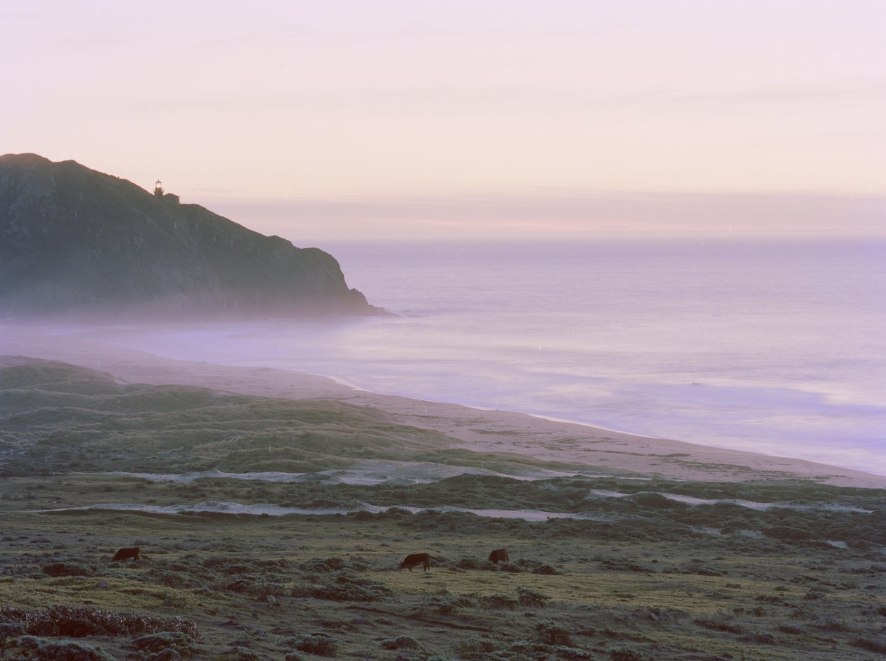 Big Sur, 2014 av Carli Choi