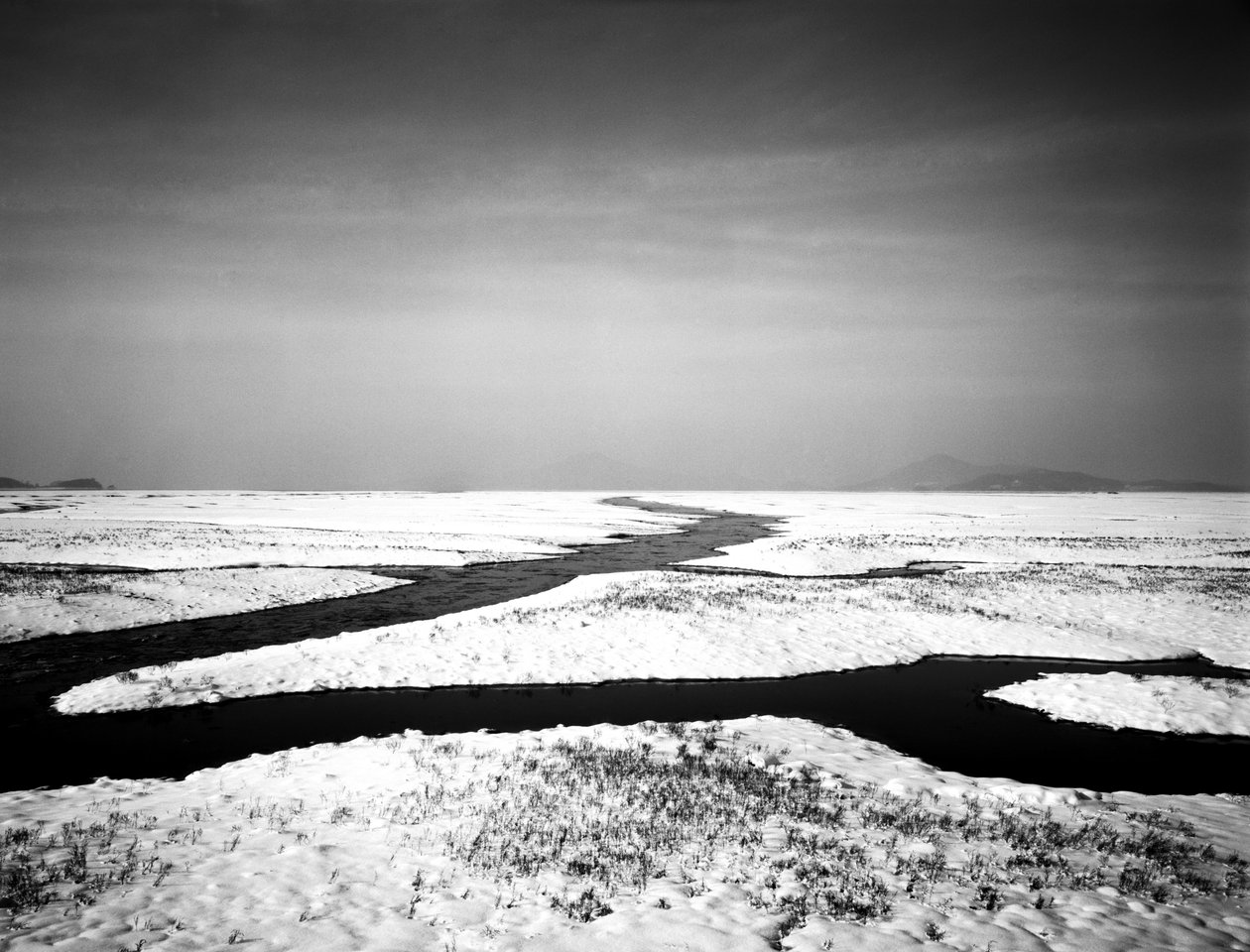 För alltid vid havet, 2012 av Carli Choi