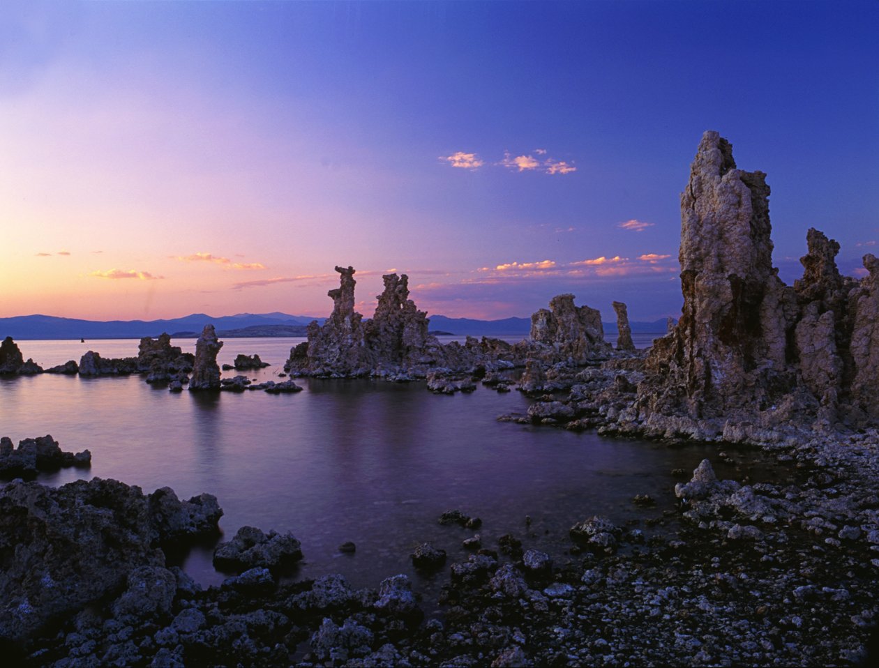 Mono Lake, 2013 av Carli Choi