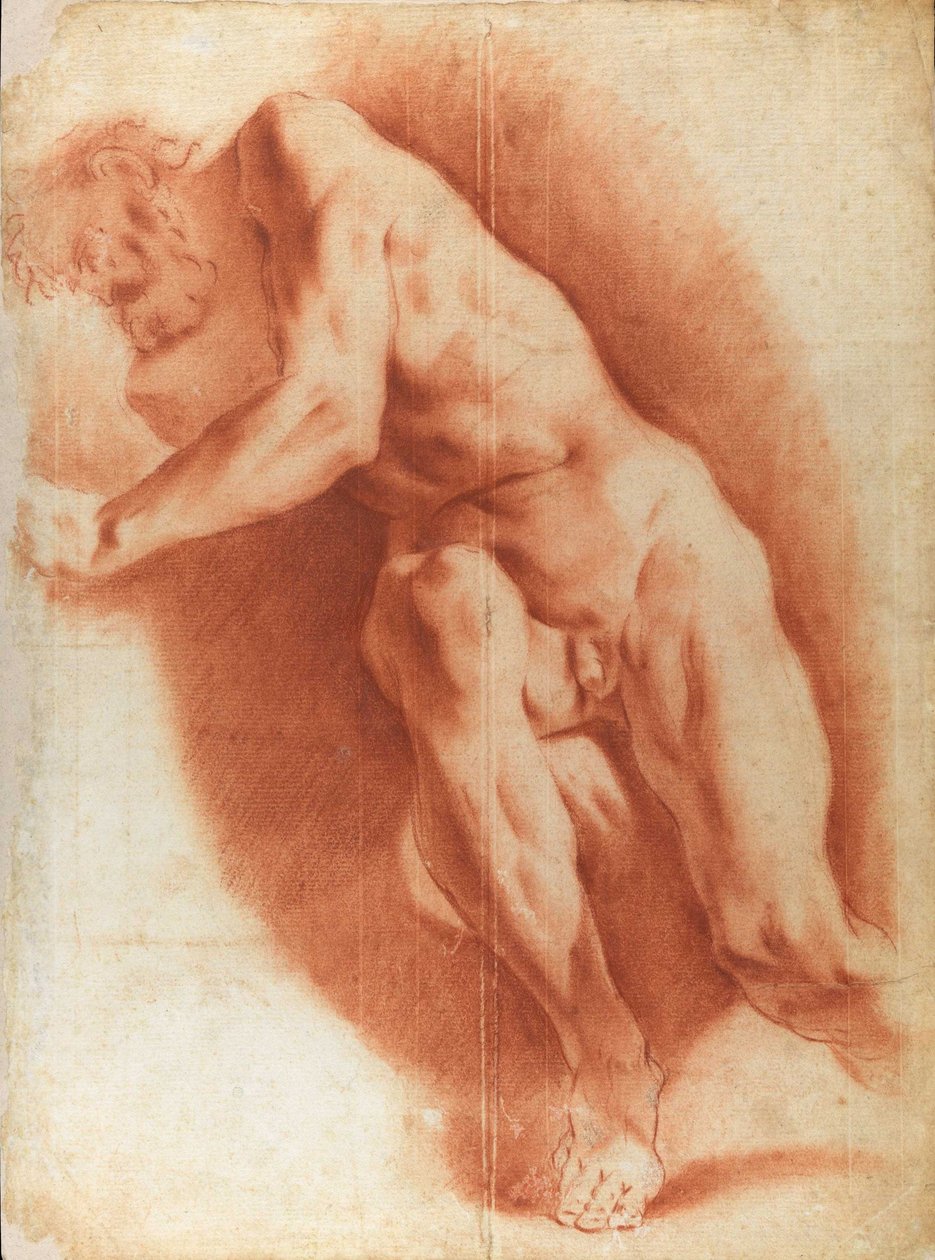 Sitting male nude av Carlo Cignani