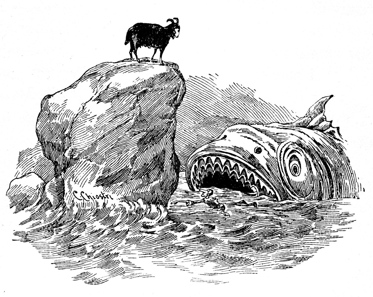 Illustration av Pinocchio av Carlo Chiostri (1863-1939), en av de första italienska illustratörerna av Collodis verk. Trädockan kommer att sväljas av en fruktansvärd haj, trots hjälp av den blå avgiften som har fått utseendet av en get uppflugen på en sten av Carlo Chiostri
