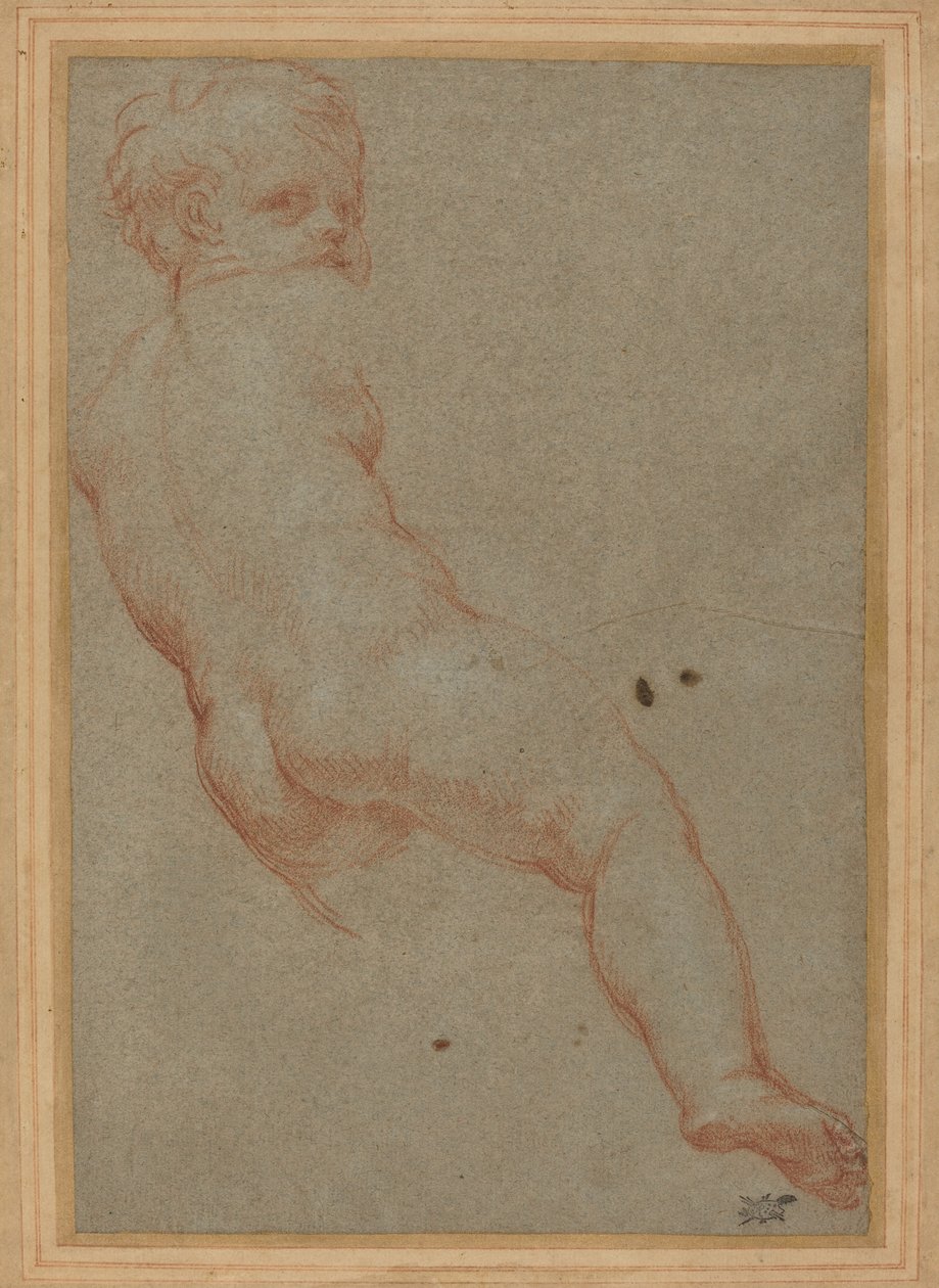 Studie av en ung pojke av Carlo Maratta