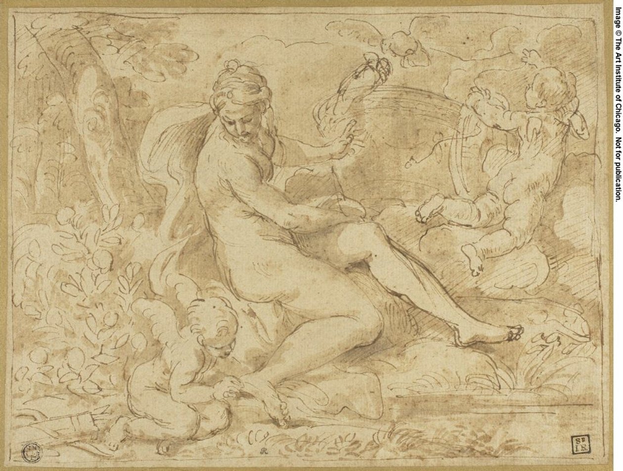 Studie om rosens ursprung av Carlo Maratti