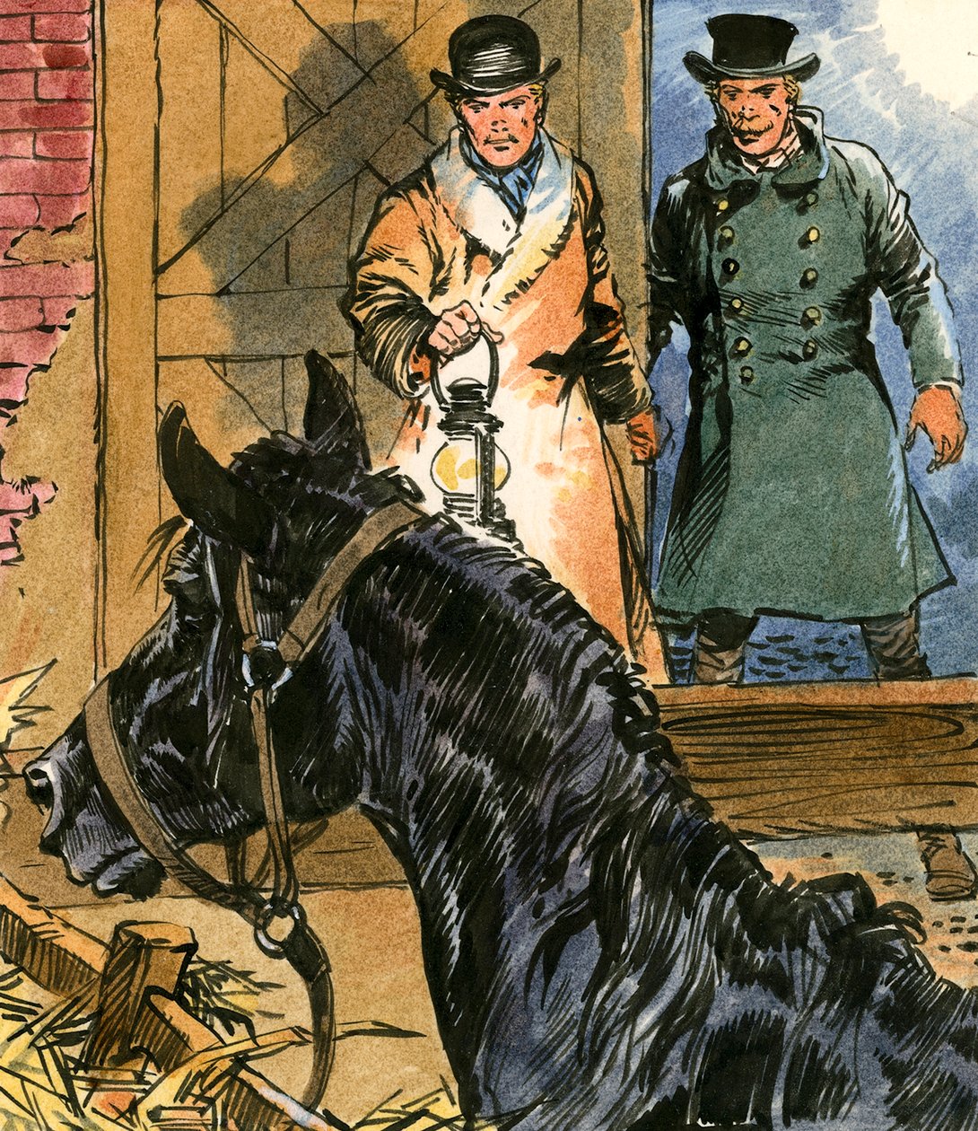 Svart skönhet av Carlos Gabriel Roume