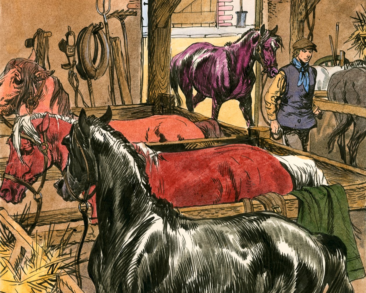 Svart skönhet av Carlos Gabriel Roume