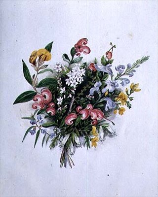 Posy of Summer Flowers, 1800-talet av Caroline Louisa Meredith