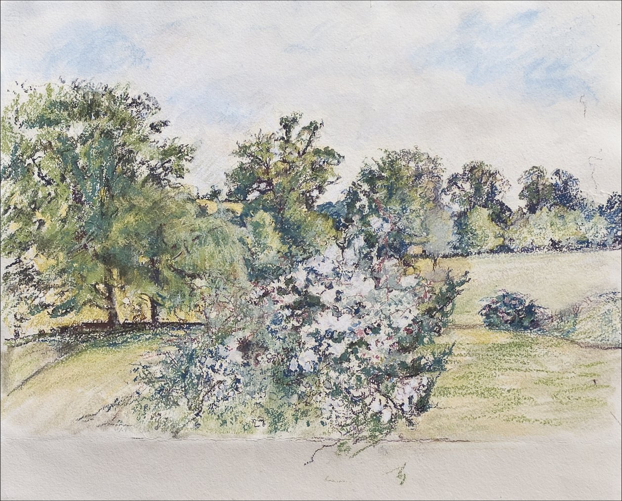 Augusti från vårt fönster, 2007 (pastell & wc på papper) av Caroline Hervey Bathurst