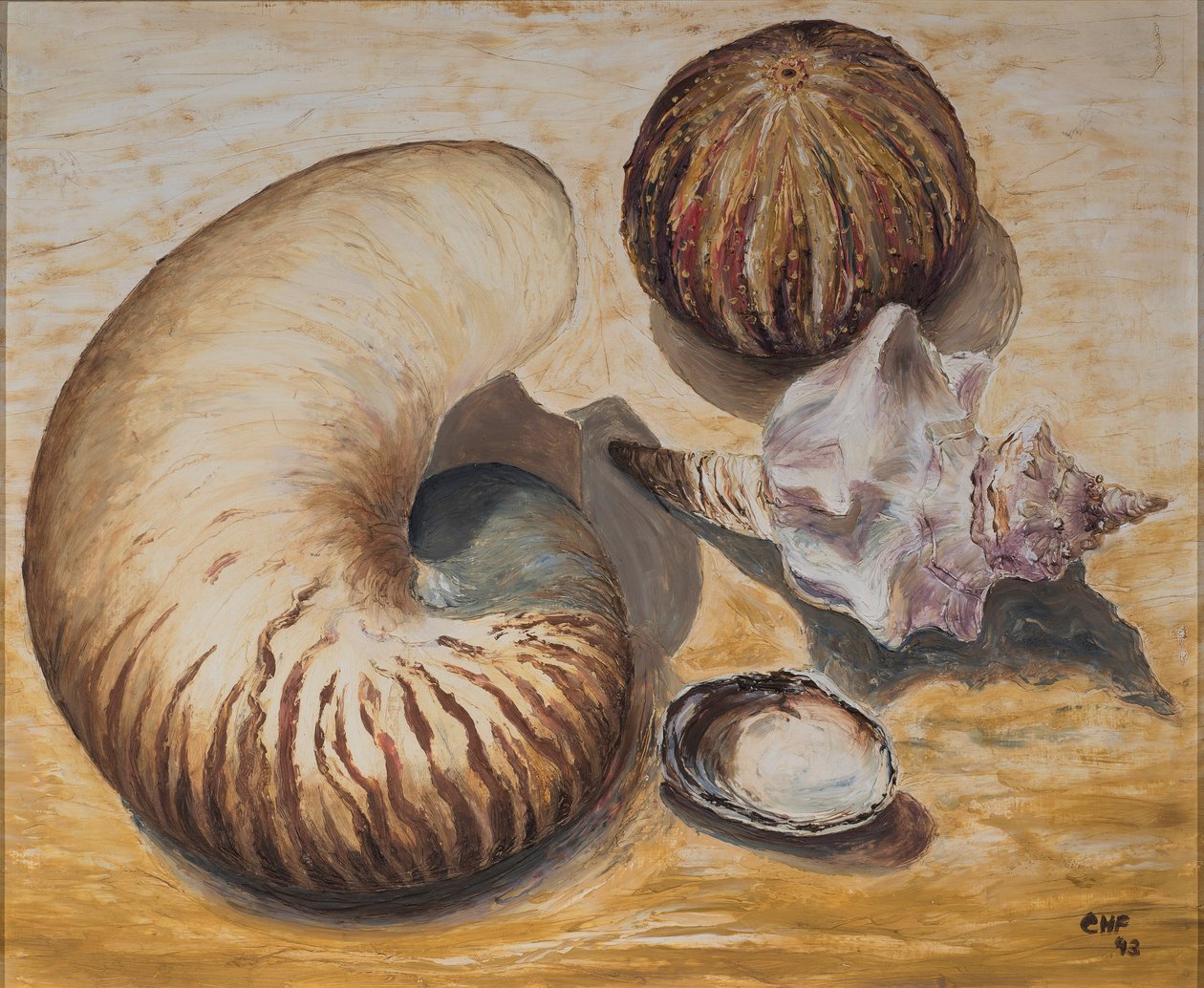 Snäckskal, 1993 (olja på papper) av Carolyn Hubbard Ford