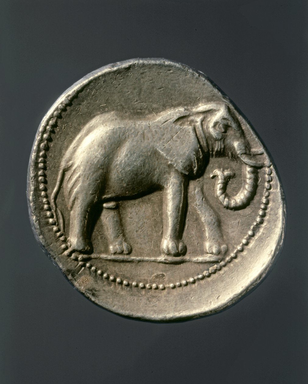 HANNIBAL Barca: Guldmynt som visar Hannibals elefant (guldmynt) av Carthaginian Carthaginian