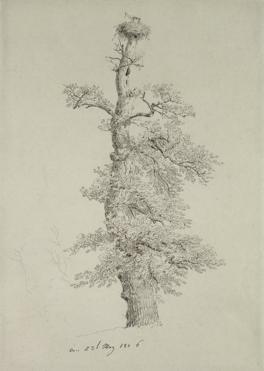 Forntida ek med ett storkbo, 23 maj 1806 av Caspar David Friedrich