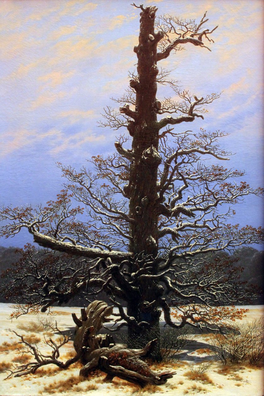 Ek i snön av Caspar David Friedrich