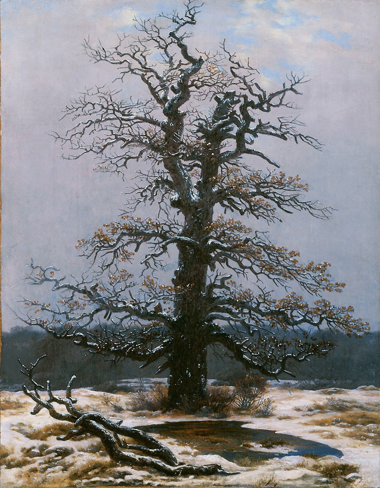 Oak in the Snow av Caspar David Friedrich