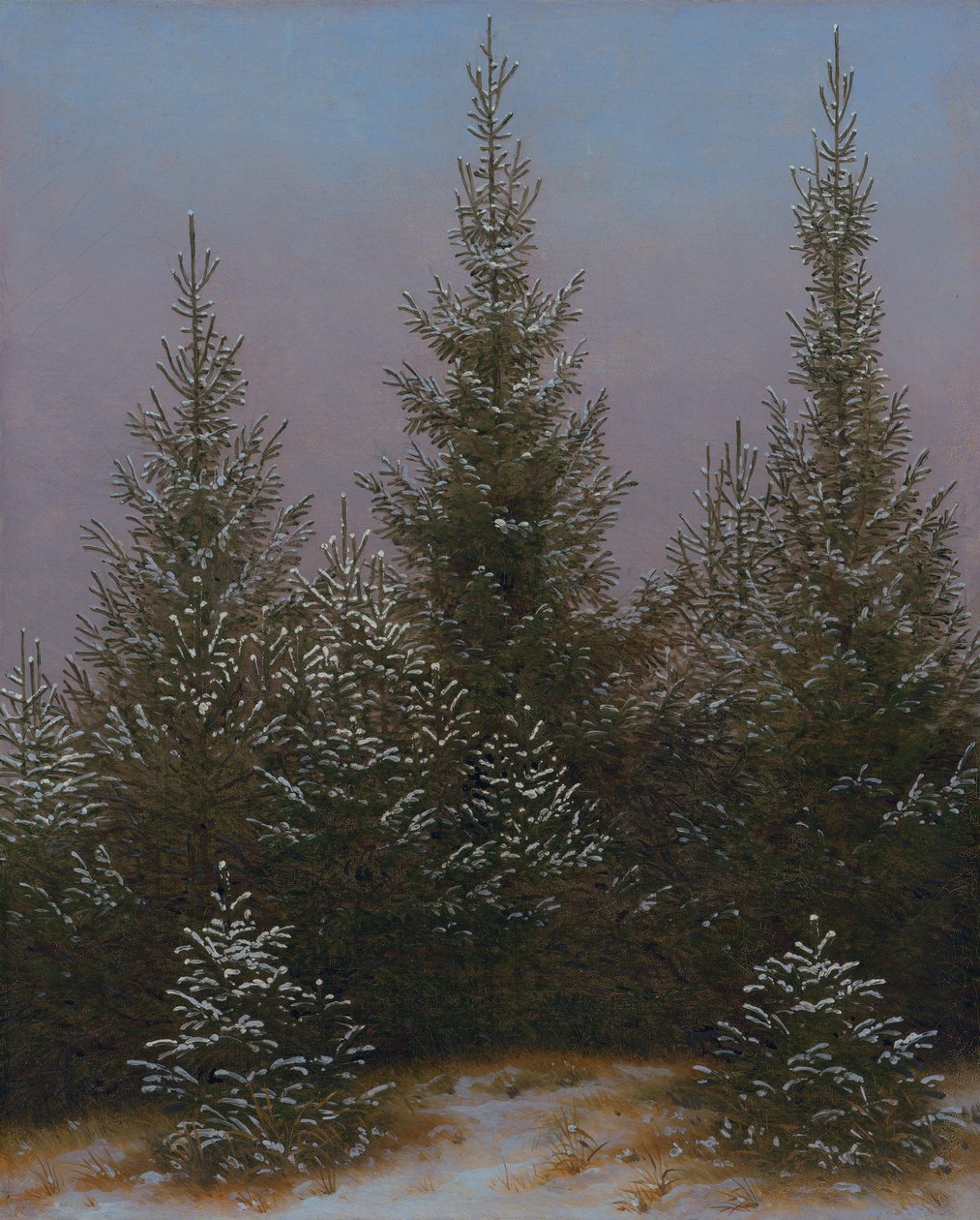 Granbuskage i snön (Ur »Dresdner Heide I«) av Caspar David Friedrich