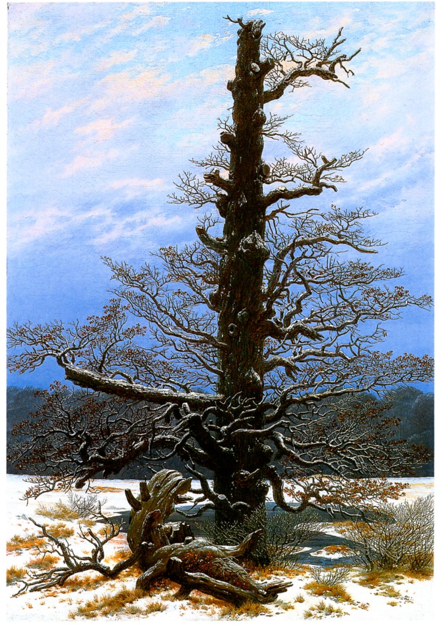 Tyska: Eichbaum im Schnee Ekträdet i snön av Caspar David Friedrich