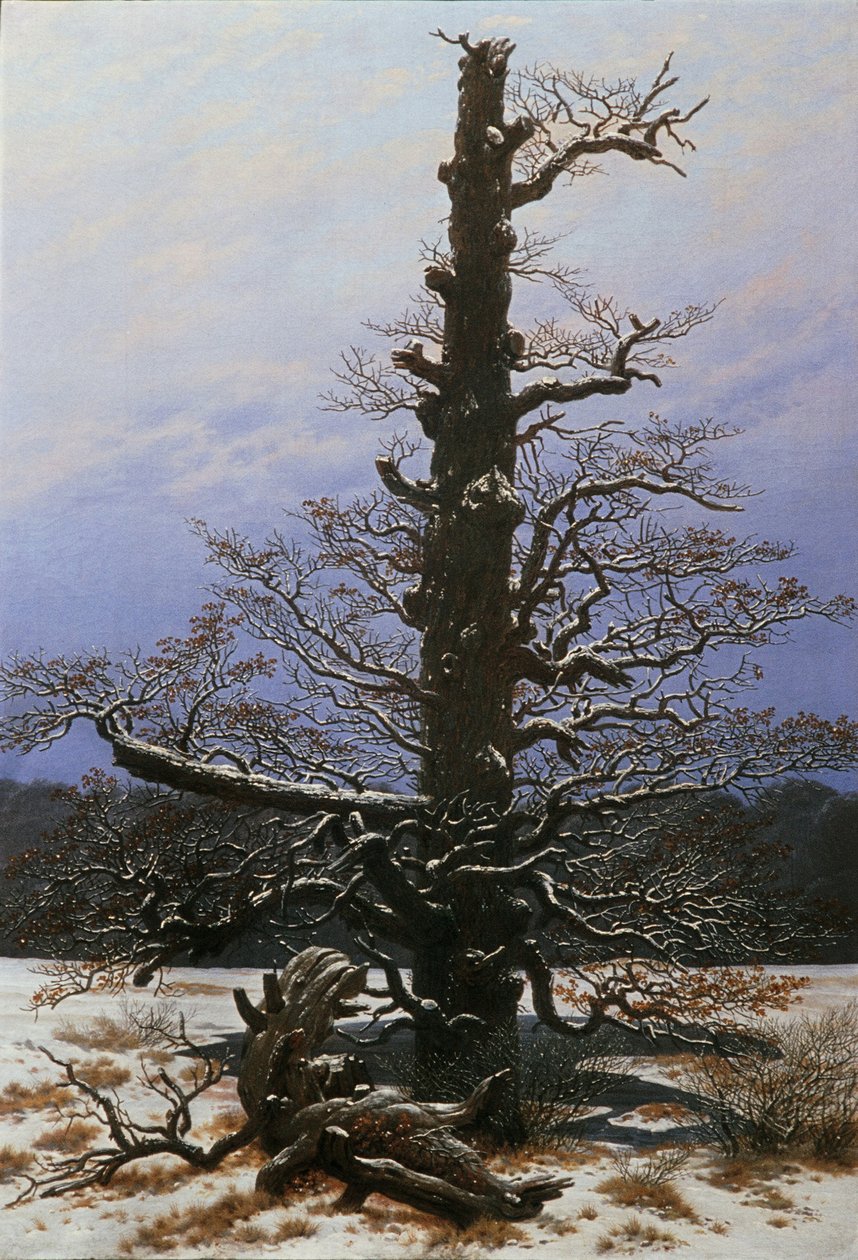 Ek i snön av Caspar David Friedrich