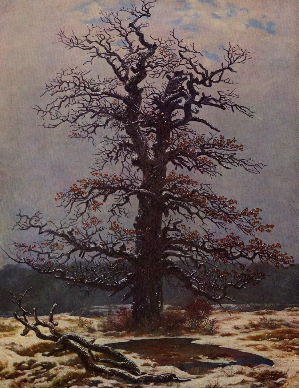 Ek i snön av Caspar David Friedrich