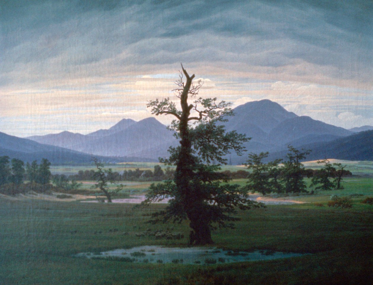 Det ensamma trädet, 1823 av Caspar David Friedrich