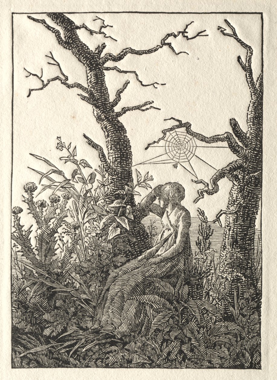 Kvinnan med spindelnätet mellan kala träd av Caspar David Friedrich