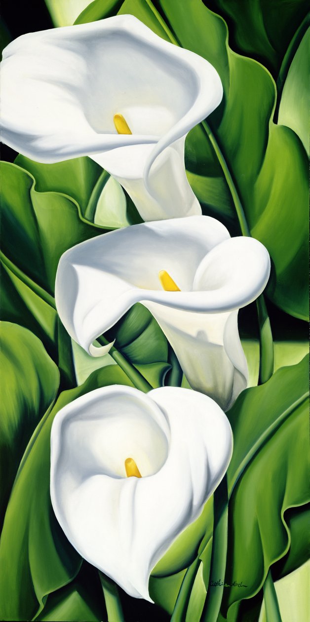 Liljor av Catherine Abel