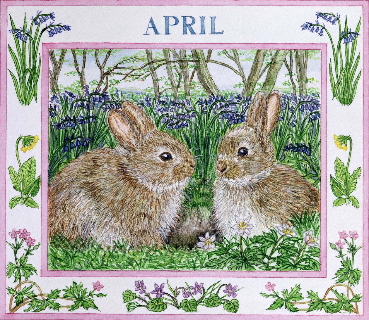 april (wc på papper) av Catherine Bradbury