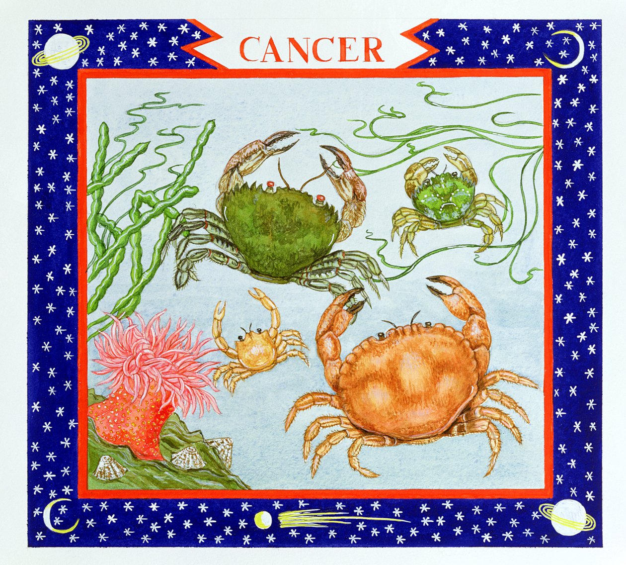Cancer (wc på papper) av Catherine Bradbury