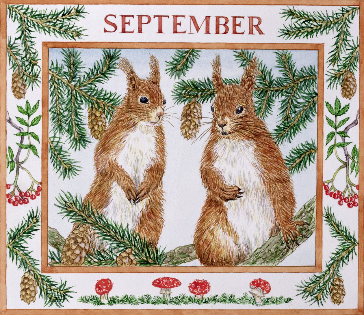september (wc på papper) av Catherine Bradbury