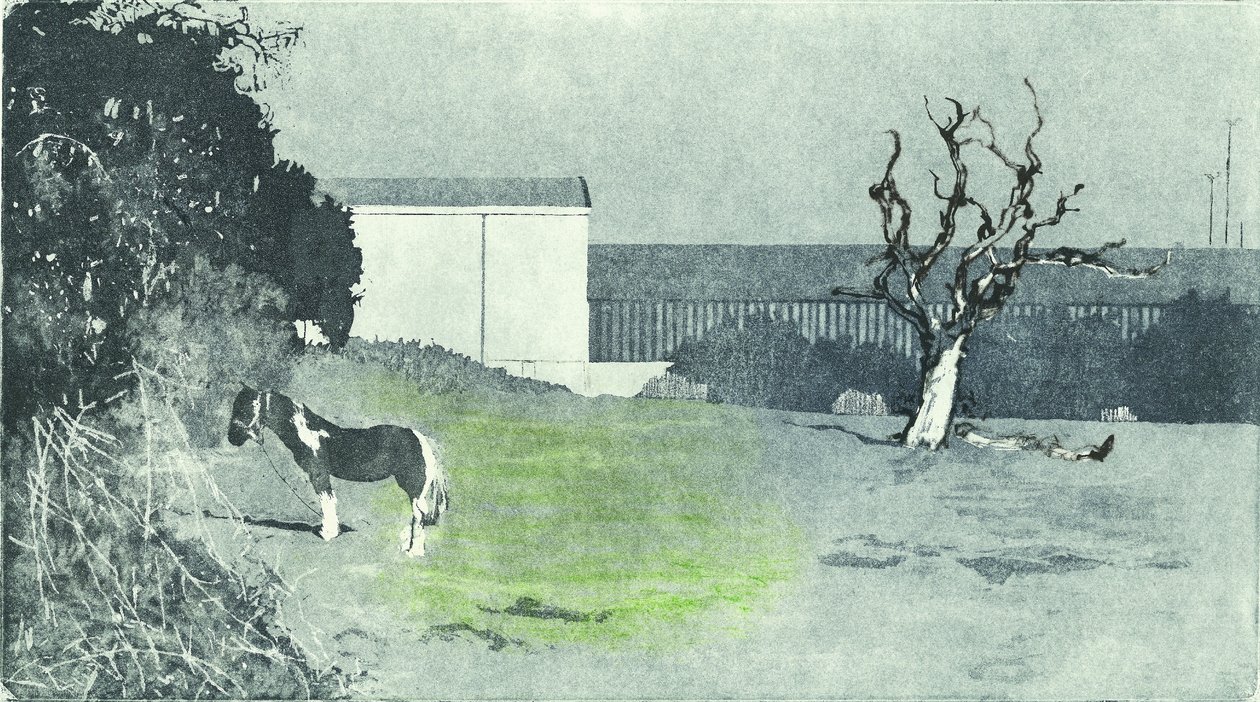 Facing new growth, 2016 (Akvatintetsning och torrnålsgravyr) av Catherine Sutcliffe-Fuller