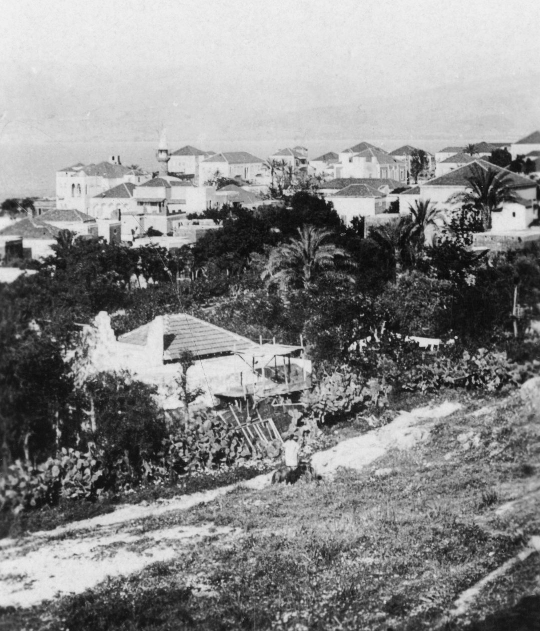 Beirut från American College, Libanon, c1927-c1931. av Cavanders Ltd