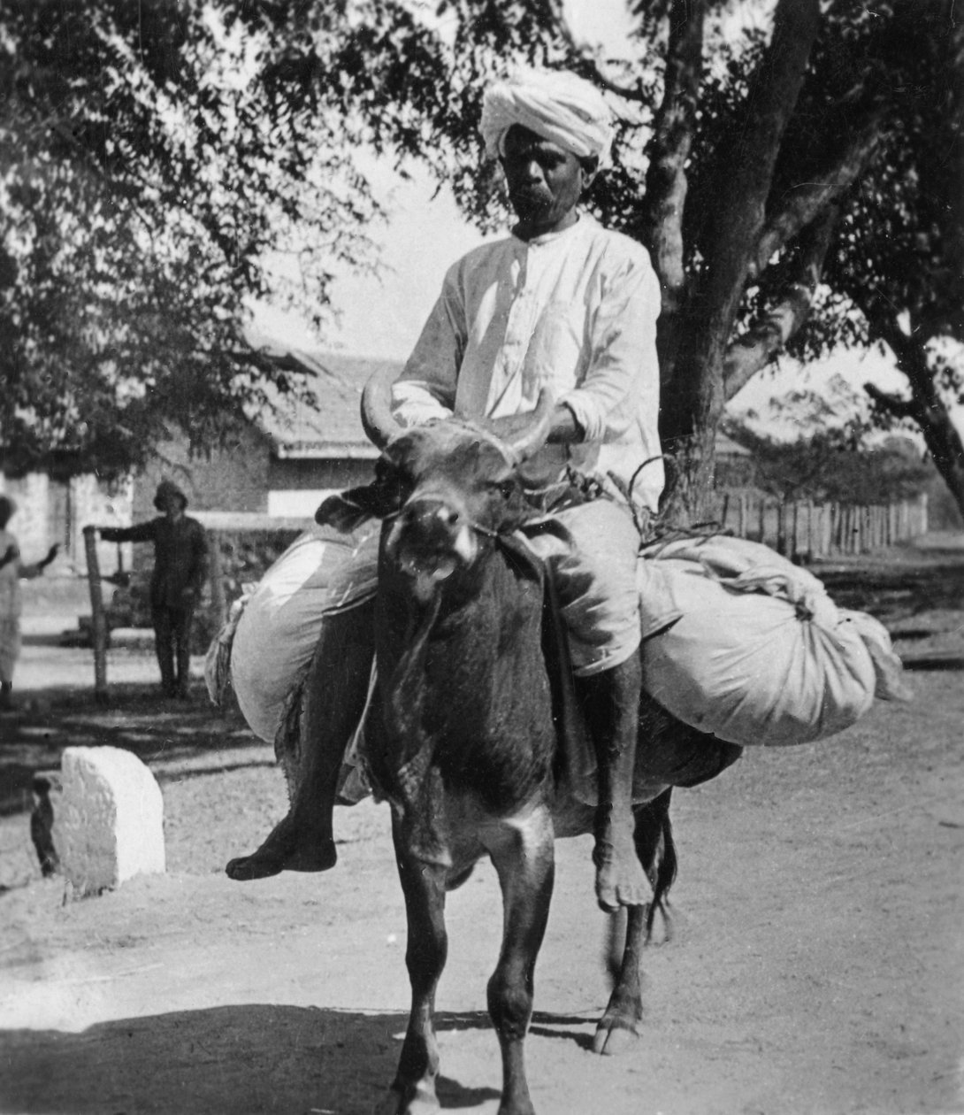 Tvättmannen, Indien, sent 1800-tal eller tidigt 1900-tal. av Cavanders Ltd