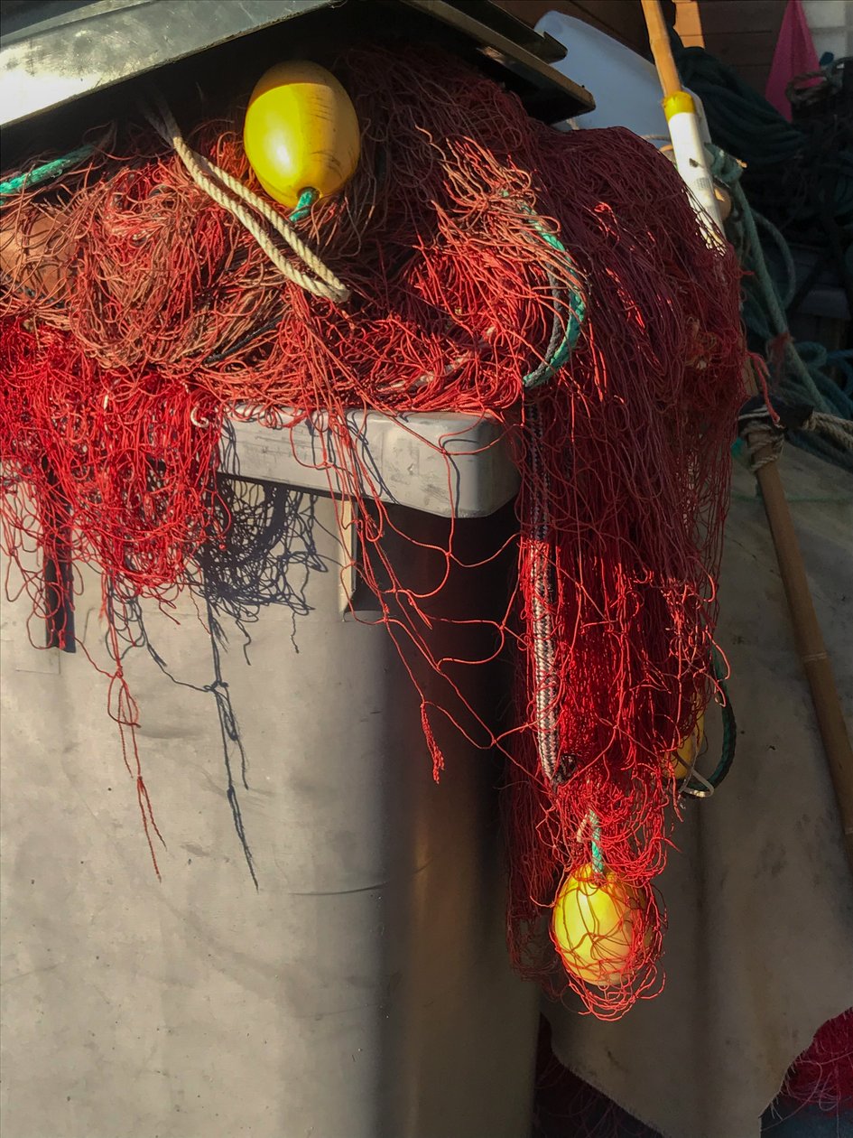 Sammansättning - Nets, 2019 (foto) av Cécile Jamet