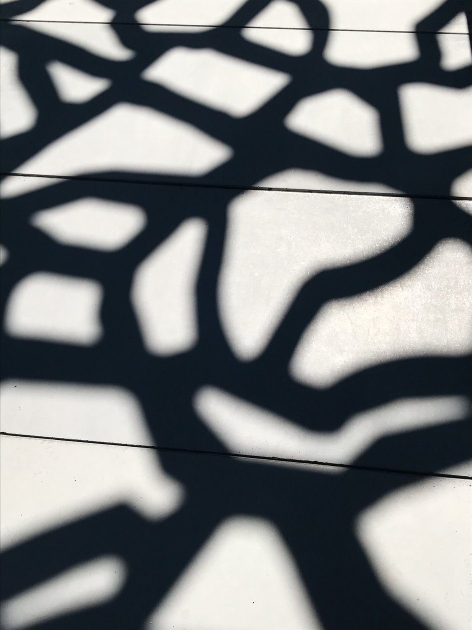 Sammansättning - Skuggor, 2021 (foto) av Cécile Jamet