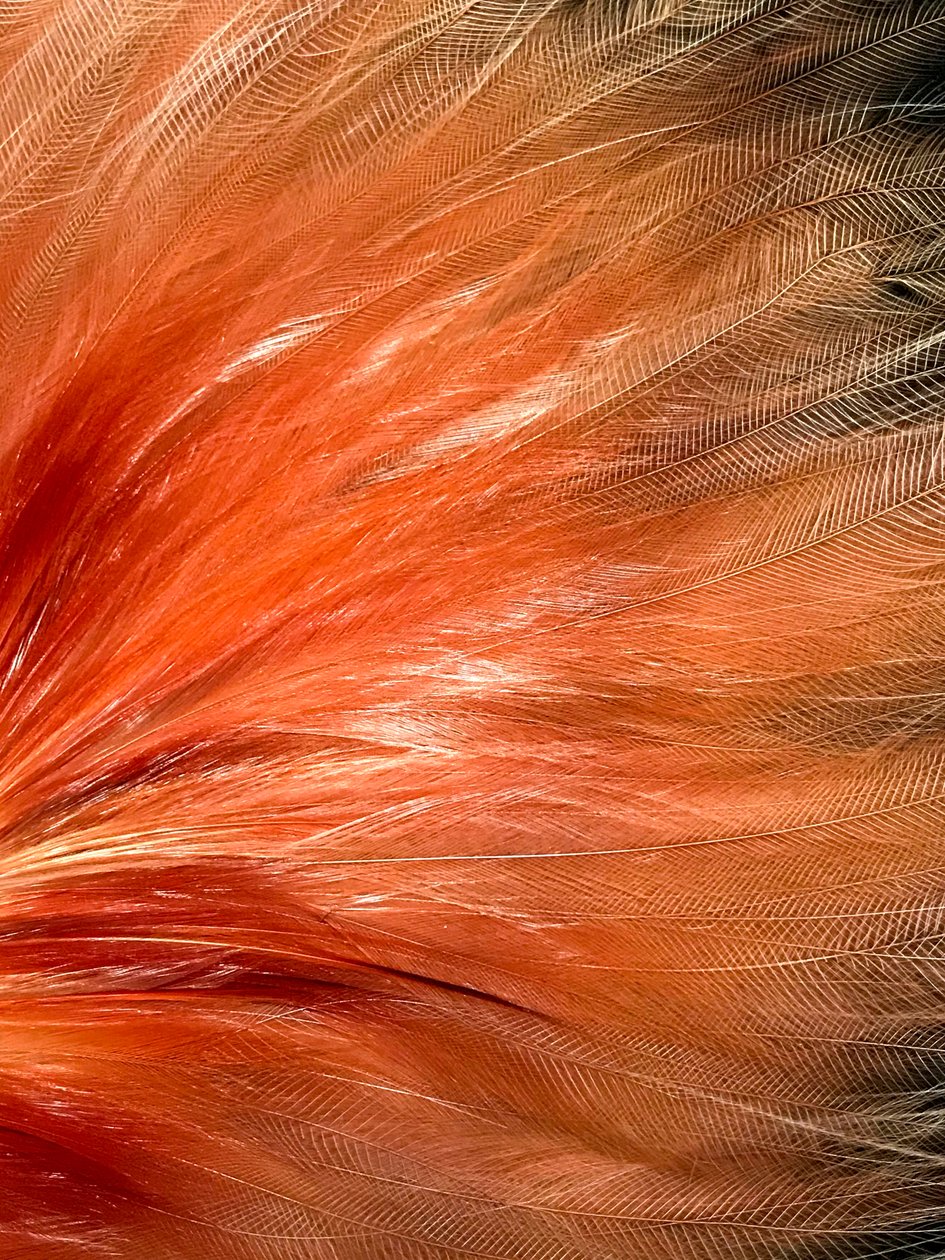 Komposition - Textur, 2019 (foto) av Cécile Jamet