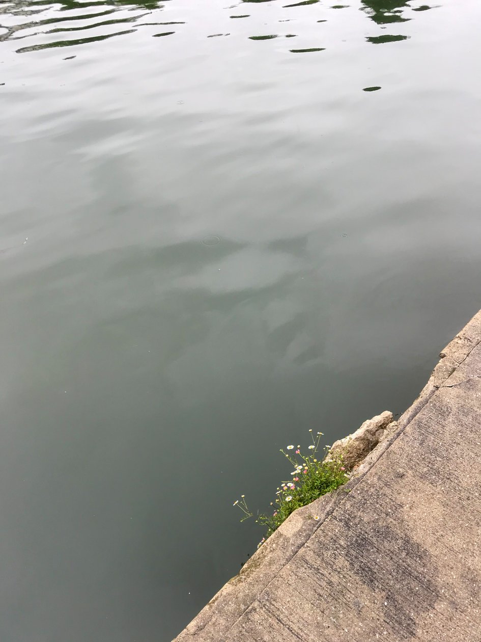 Sammansättning, 2019 (foto) av Cécile Jamet