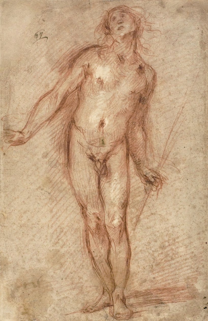 Stående manlig naken, 1637-38 av Cecco Bravo
