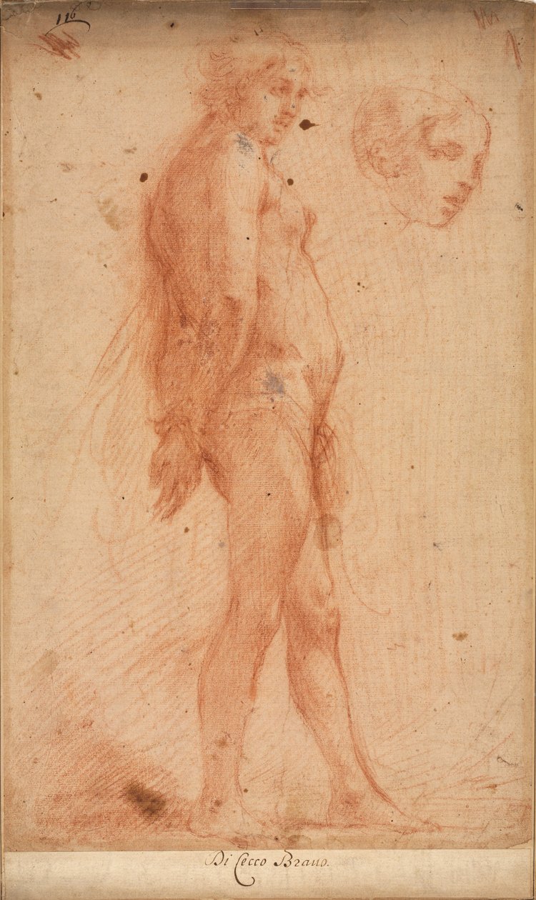 Studie av en stående manlig naken, med en studie av huvud i trekvartsprofil, c. 1640. av Cecco Bravo